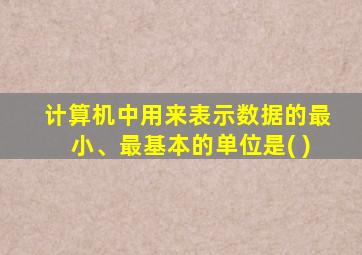 计算机中用来表示数据的最小、最基本的单位是( )